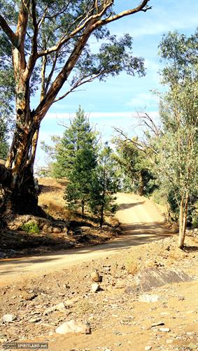 Flinders Ranges NP, SA. 